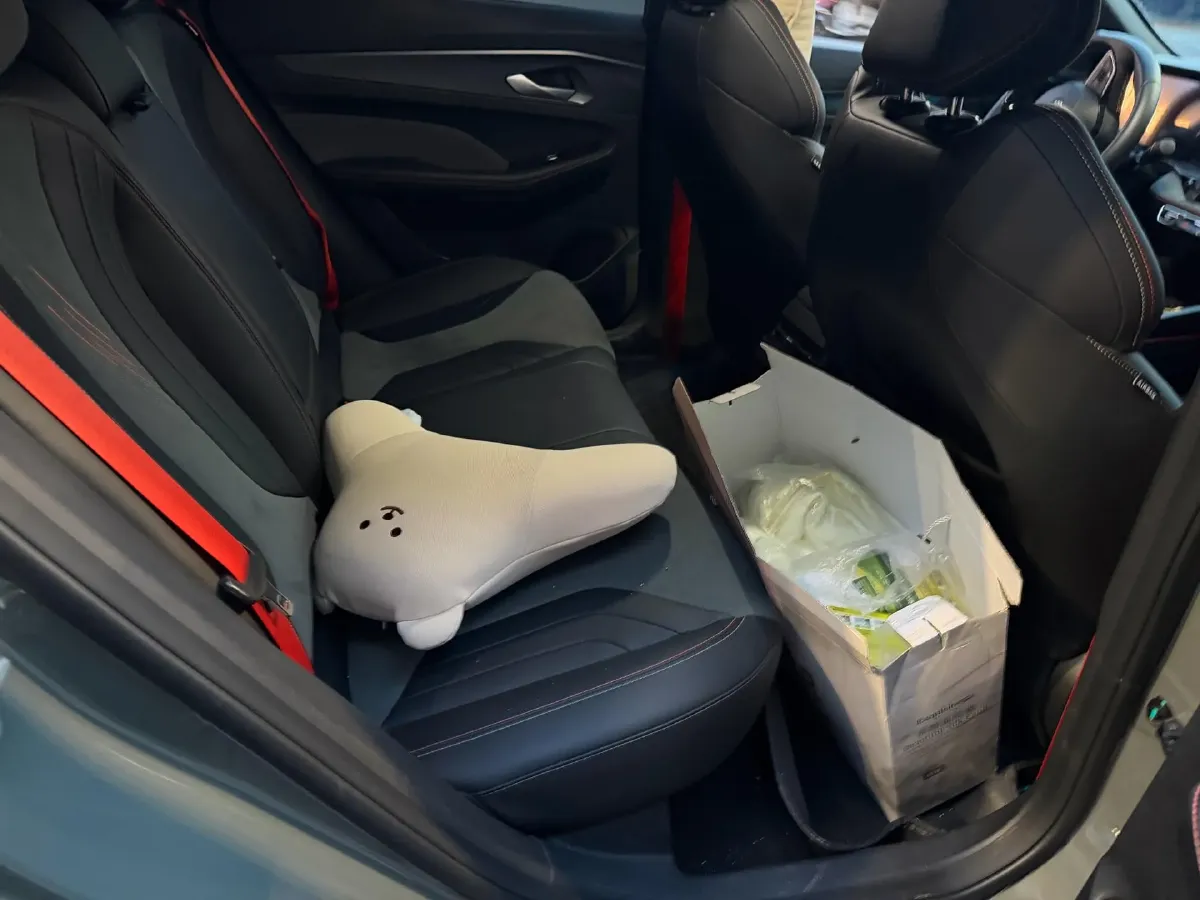 2022 Geely Binray 1.5T 181HP L4 7DCT,autocango,china used car exporter,china ev exporter,chinese used car exporter,chinese used ev exporter