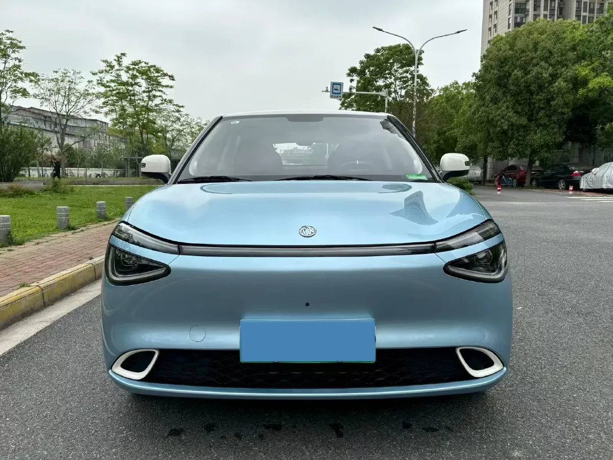 2024 DongFeng Nammi 01 BEV 42.3KWH,autocango,china used car exporter,china ev exporter,chinese used car exporter,chinese used ev exporter