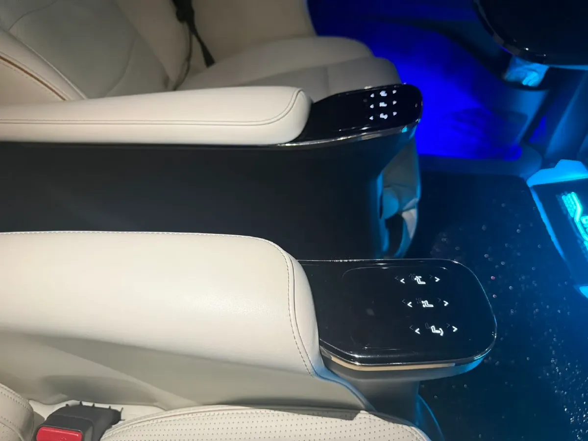 2023 GAC Trumpchi M8 2.0T 252HP L4 8AT,autocango,china used car exporter,china ev exporter,chinese used car exporter,chinese used ev exporter