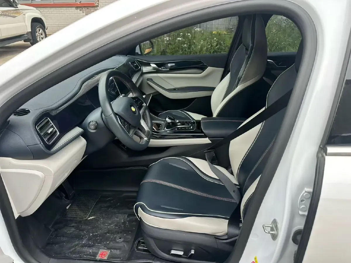 2021 BYD Qin Plus BEV 57KWH,autocango,china used car exporter,china ev exporter,chinese used car exporter,chinese used ev exporter