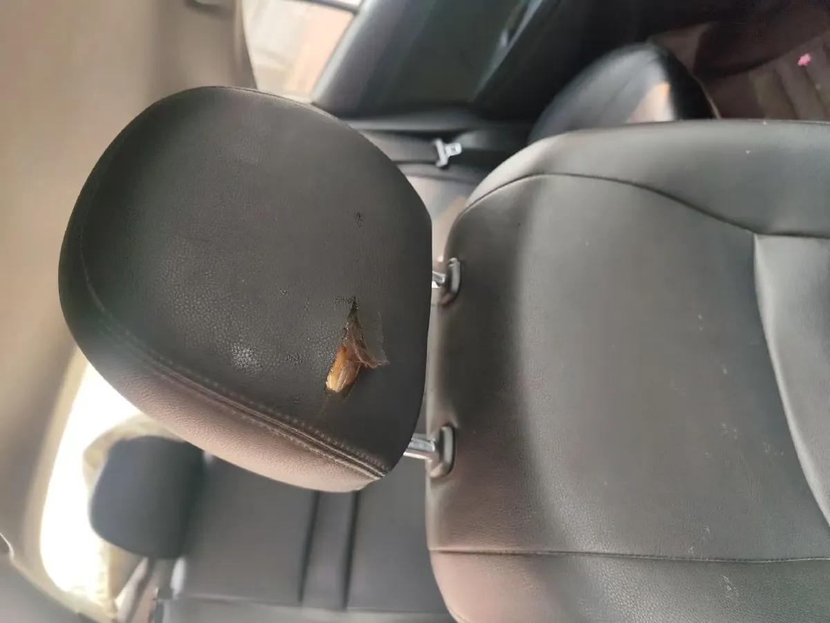 2019 Toyota Vios 1.5L 110HP L4 CVT,autocango,china used car exporter,china ev exporter,chinese used car exporter,chinese used ev exporter