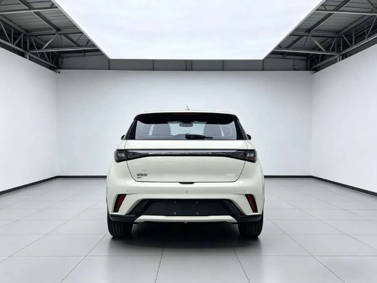 2025 BYD Dolphin BEV 44.928KWH,autocango,china used car exporter,china ev exporter,chinese used car exporter,chinese used ev exporter