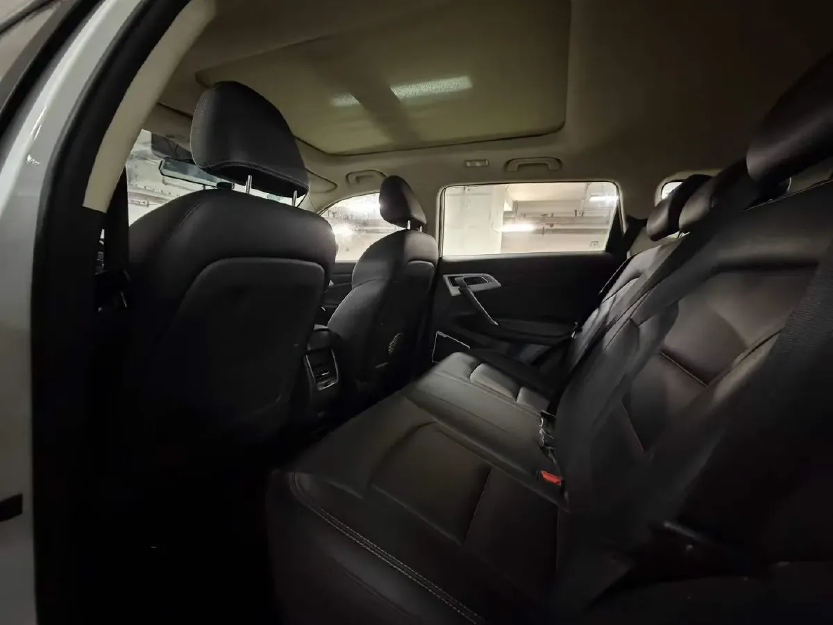 2020 Great Wall Poer 2.0T 163HP L4 8AT,autocango,china used car exporter,china ev exporter,chinese used car exporter,chinese used ev exporter