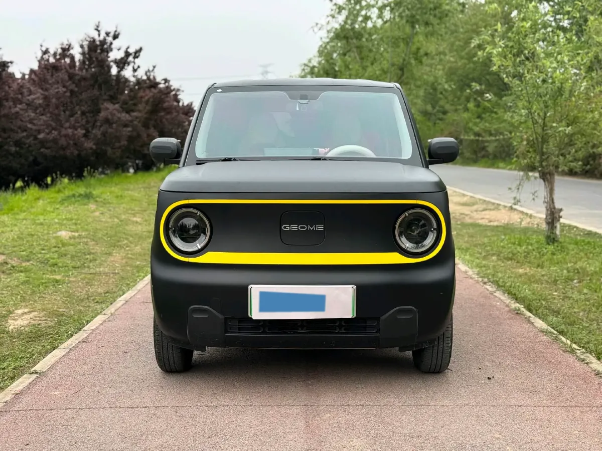 2023 Geely Galaxy Panda BEV 17.03KWH,autocango,china used car exporter,china ev exporter,chinese used car exporter,chinese used ev exporter