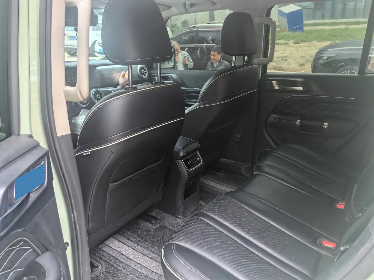 2021 Tank 300 2.0T 227HP L4 8AT,autocango,china used car exporter,china ev exporter,chinese used car exporter,chinese used ev exporter