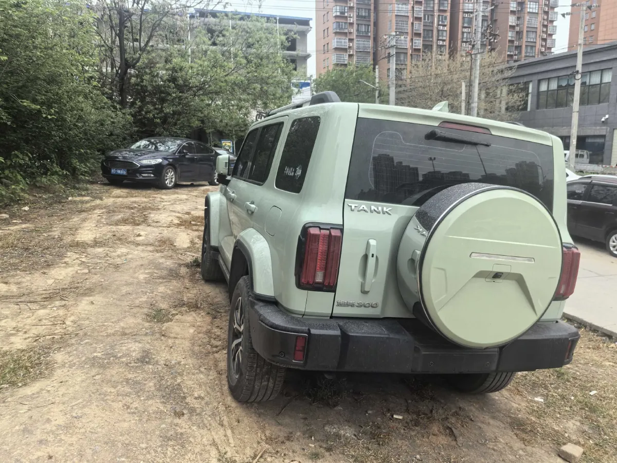 2021 Tank 300 2.0T 227HP L4 8AT,autocango,china used car exporter,china ev exporter,chinese used car exporter,chinese used ev exporter