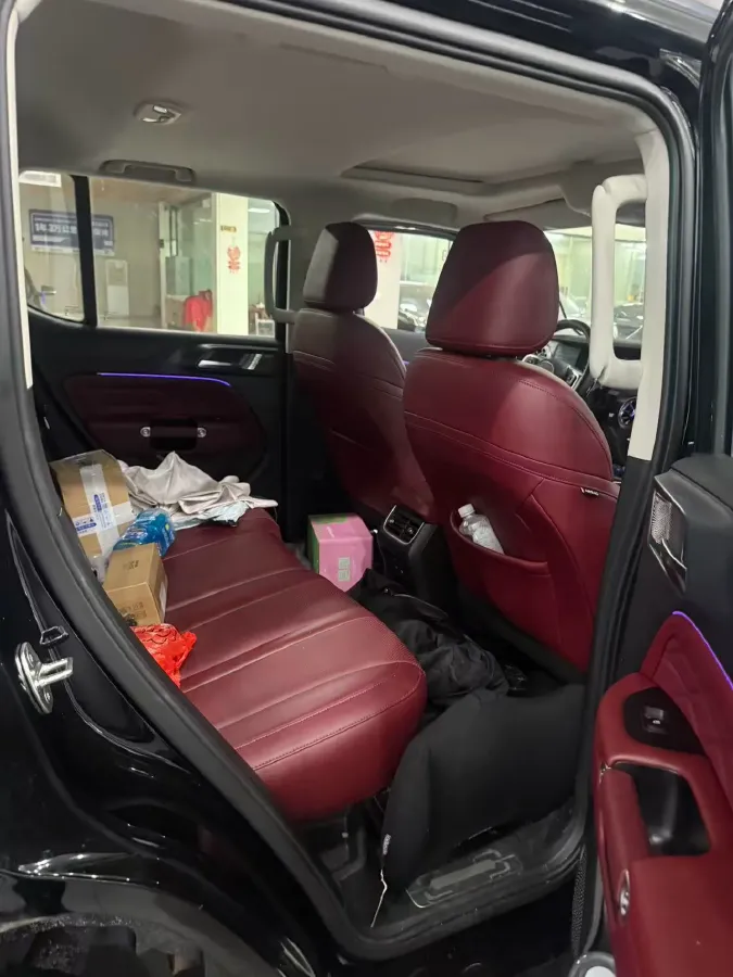 2024 Tank 300 2.0T 227HP L4 8AT,autocango,china used car exporter,china ev exporter,chinese used car exporter,chinese used ev exporter