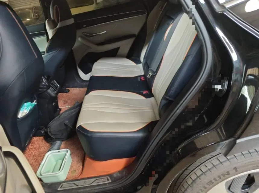 2021 BYD Qin BEV 53.56KWH,autocango,china used car exporter,china ev exporter,chinese used car exporter,chinese used ev exporter