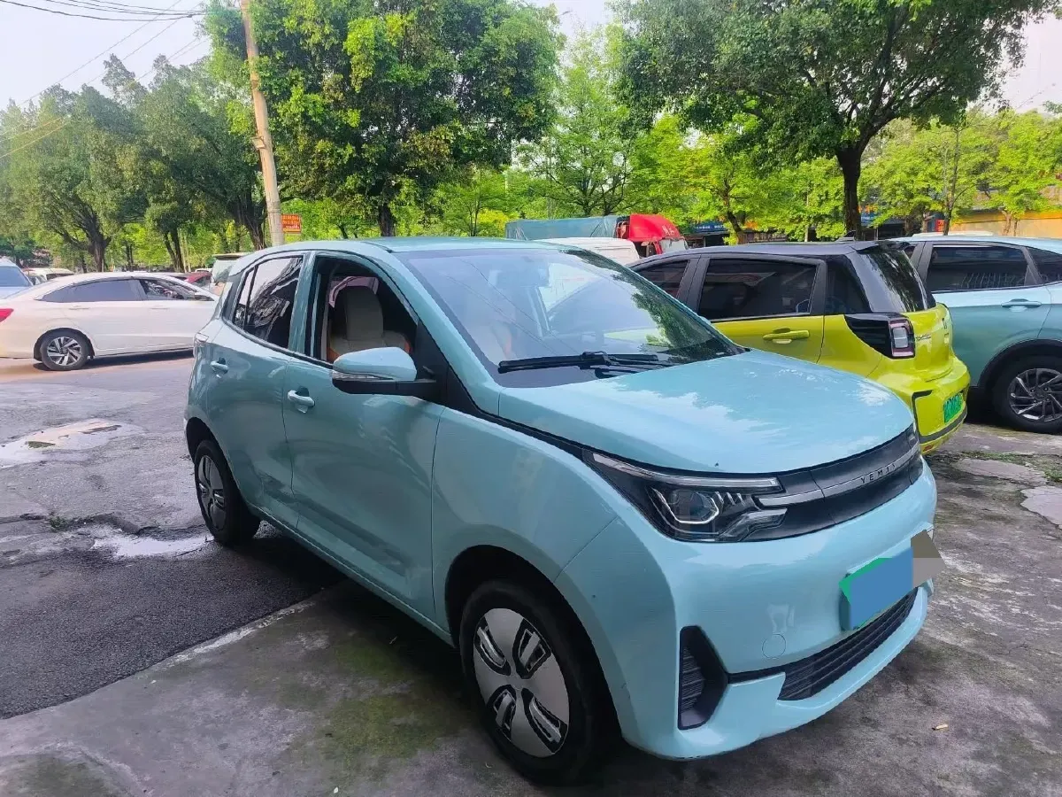 2022 Levdeo MangoPro BEV 17.28KWH,autocango,china used car exporter,china ev exporter,chinese used car exporter,chinese used ev exporter