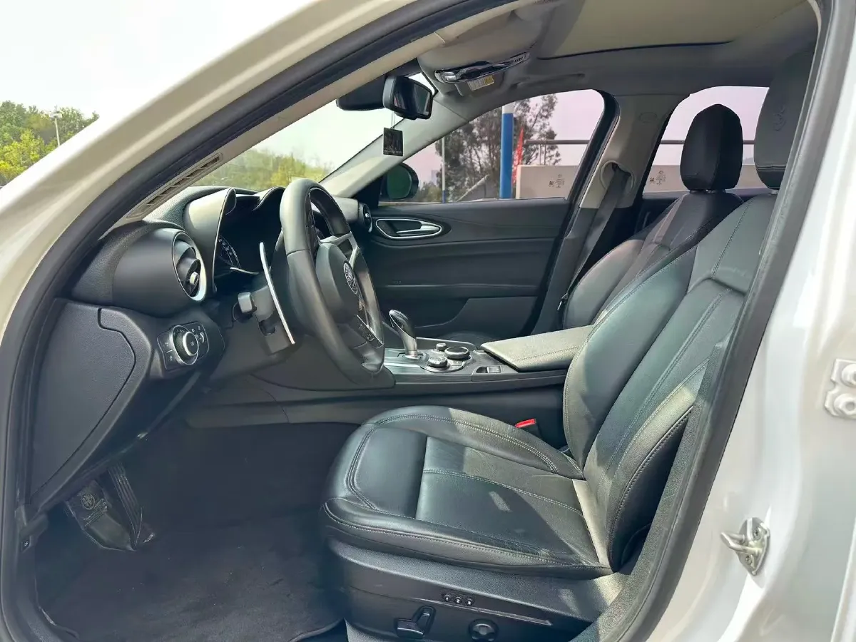 2017 Ford Mustang 2.3T 314HP L4 6AT,autocango,china used car exporter,china ev exporter,chinese used car exporter,chinese used ev exporter