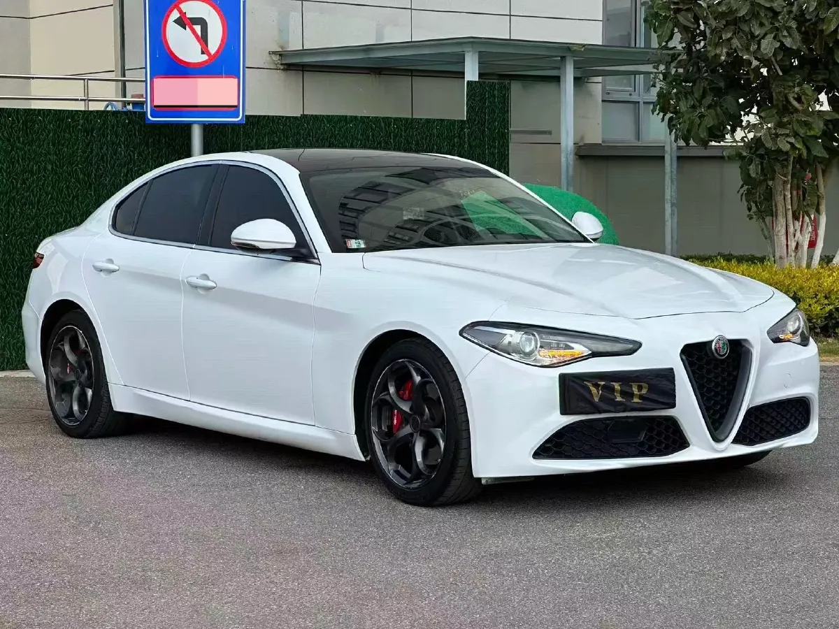 2017 Ford Mustang 2.3T 314HP L4 6AT,autocango,china used car exporter,china ev exporter,chinese used car exporter,chinese used ev exporter