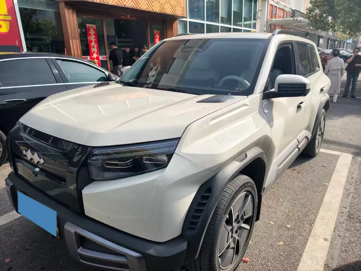 2025 FangChengBao Tai 3 BEV,autocango,china used car exporter,china ev exporter,chinese used car exporter,chinese used ev exporter