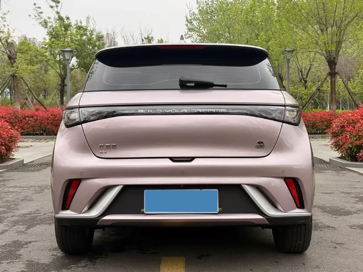 2023 BYD Dolphin BEV 44.928KWH,autocango,china used car exporter,china ev exporter,chinese used car exporter,chinese used ev exporter