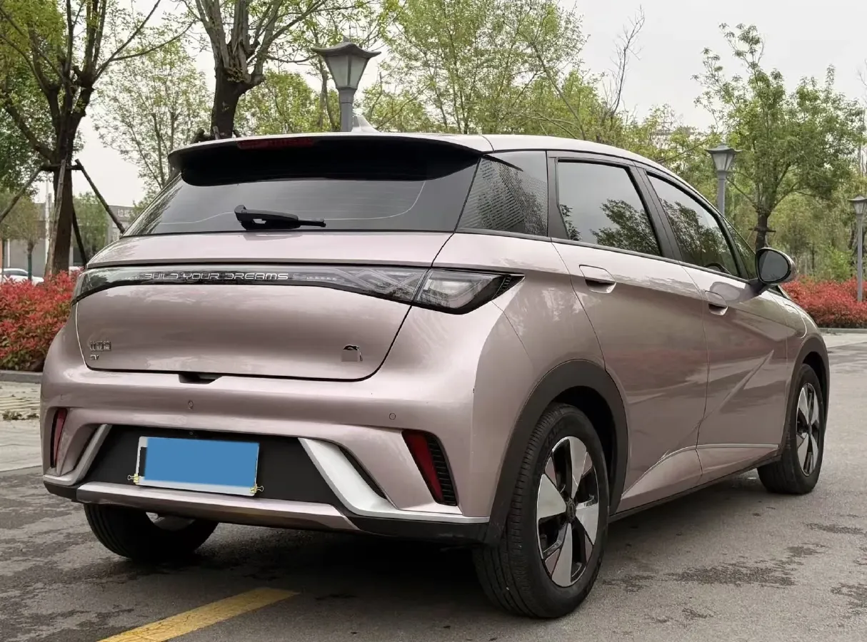 2023 BYD Dolphin BEV 44.928KWH,autocango,china used car exporter,china ev exporter,chinese used car exporter,chinese used ev exporter
