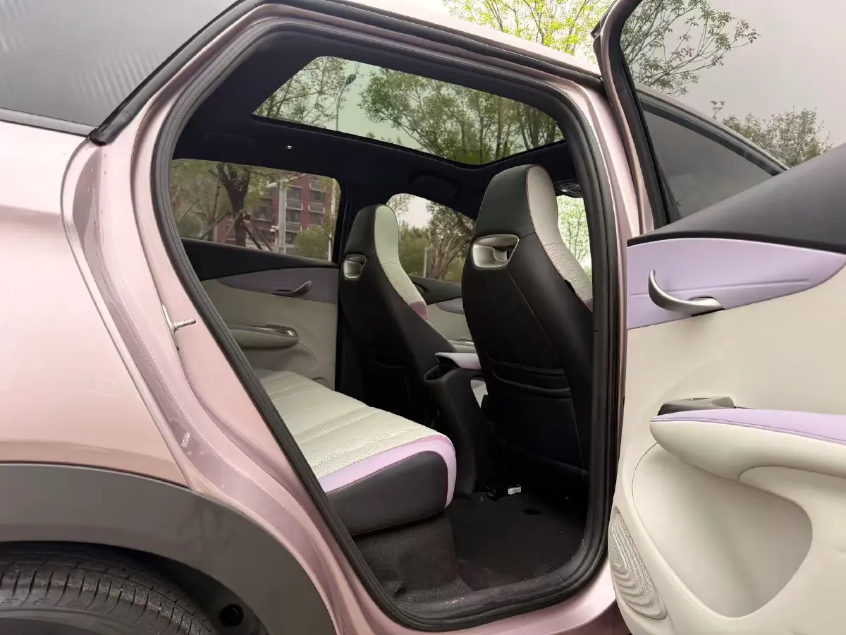 2023 BYD Dolphin BEV 44.928KWH,autocango,china used car exporter,china ev exporter,chinese used car exporter,chinese used ev exporter