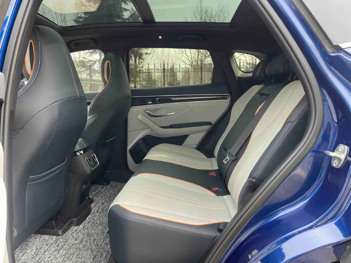 2021 SRM Sea Lion EV BEV 41.86KWH,autocango,china used car exporter,china ev exporter,chinese used car exporter,chinese used ev exporter