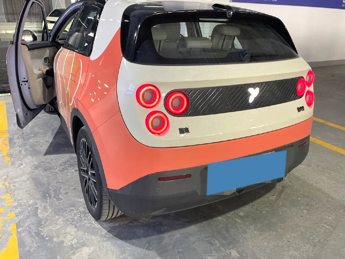 2025 Firefly Firefly BEV,autocango,china used car exporter,china ev exporter,chinese used car exporter,chinese used ev exporter