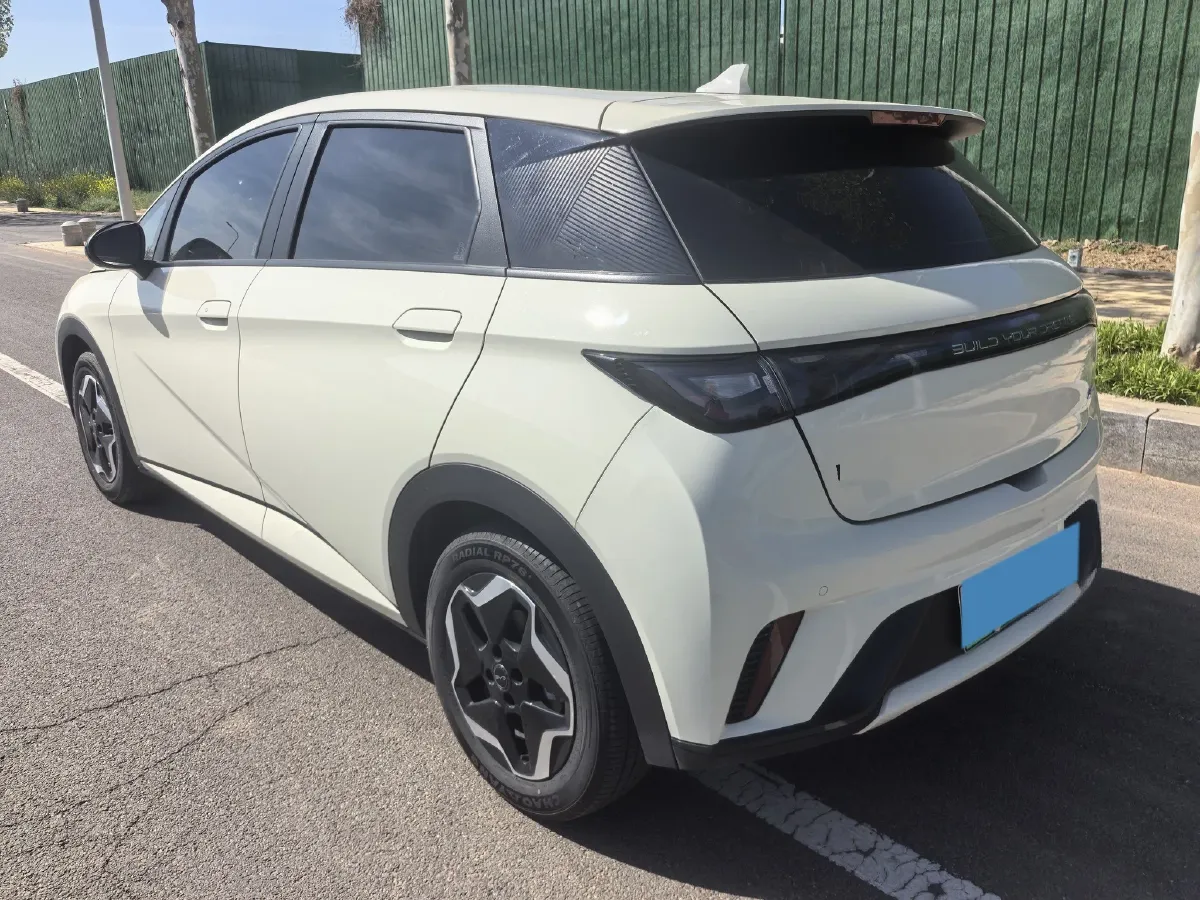 2025 BYD Dolphin BEV 44.928KWH,autocango,china used car exporter,china ev exporter,chinese used car exporter,chinese used ev exporter