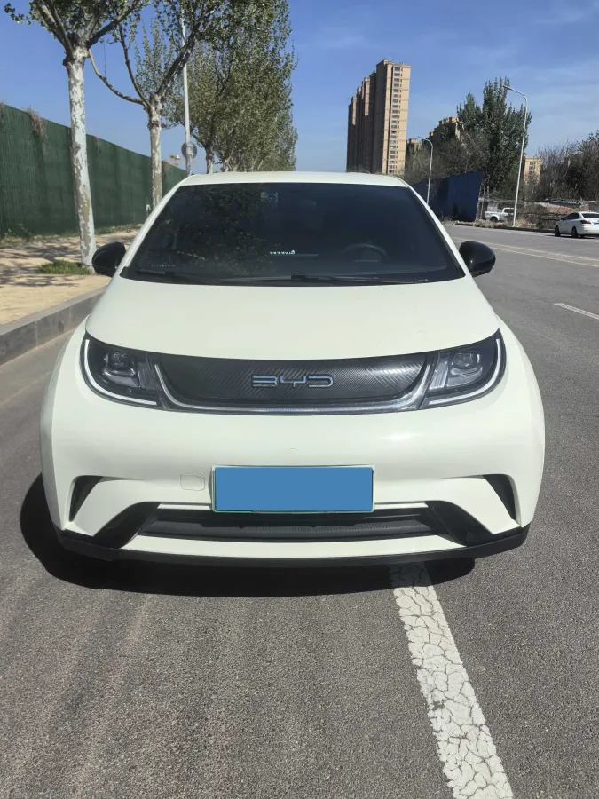 2025 BYD Dolphin BEV 44.928KWH,autocango,china used car exporter,china ev exporter,chinese used car exporter,chinese used ev exporter