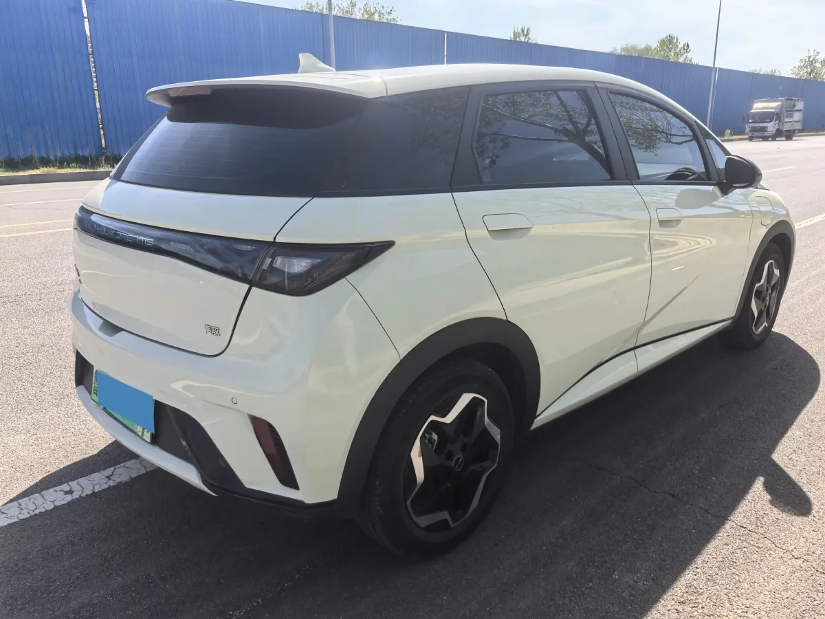 2025 BYD Dolphin BEV 44.928KWH,autocango,china used car exporter,china ev exporter,chinese used car exporter,chinese used ev exporter