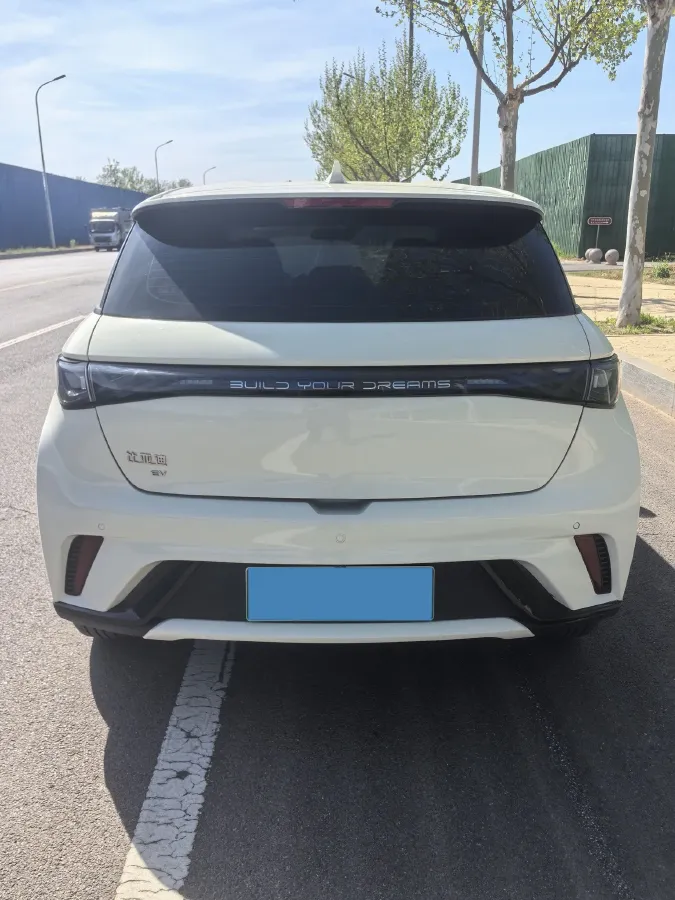 2025 BYD Dolphin BEV 44.928KWH,autocango,china used car exporter,china ev exporter,chinese used car exporter,chinese used ev exporter