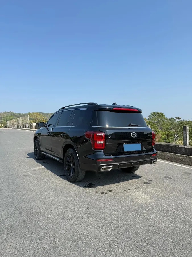 2021 GAC Trumpchi GS8 2.0T 252HP L4 6AT,autocango,china used car exporter,china ev exporter,chinese used car exporter,chinese used ev exporter