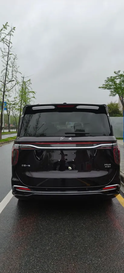 2024 HongQi HQ9 2.0T 163HP L4 1DHT PHEV 20.14KWH,autocango,china used car exporter,china ev exporter,chinese used car exporter,chinese used ev exporter