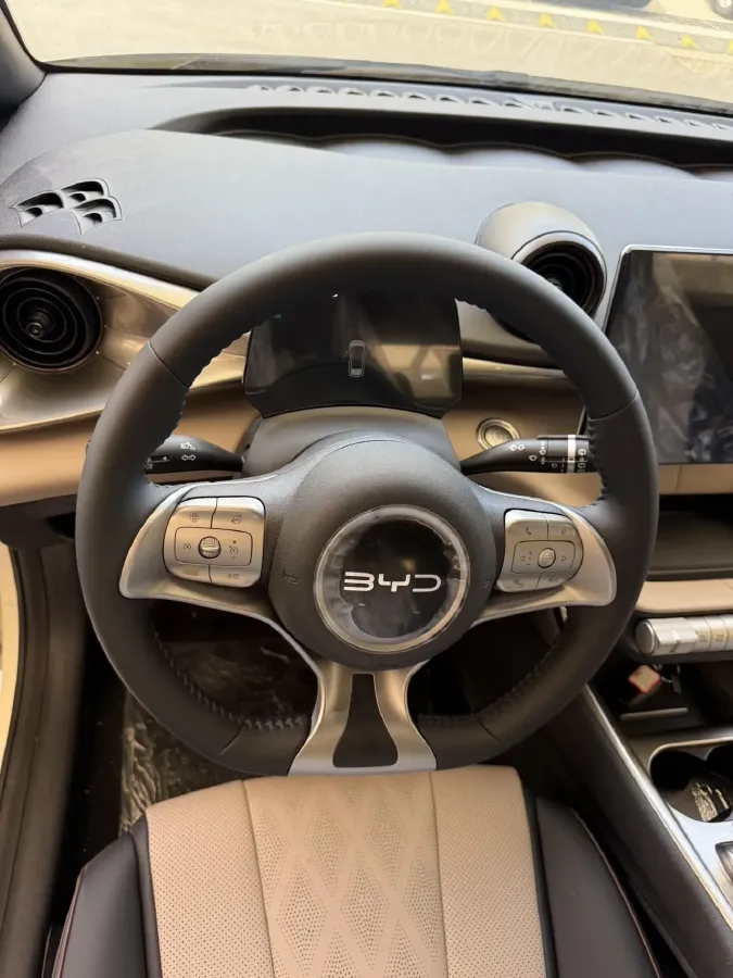 2025 BYD Dolphin BEV 44.928KWH,autocango,china used car exporter,china ev exporter,chinese used car exporter,chinese used ev exporter