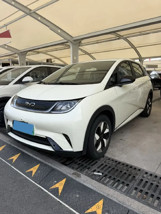 2025 BYD Dolphin BEV 44.928KWH,autocango,china used car exporter,china ev exporter,chinese used car exporter,chinese used ev exporter