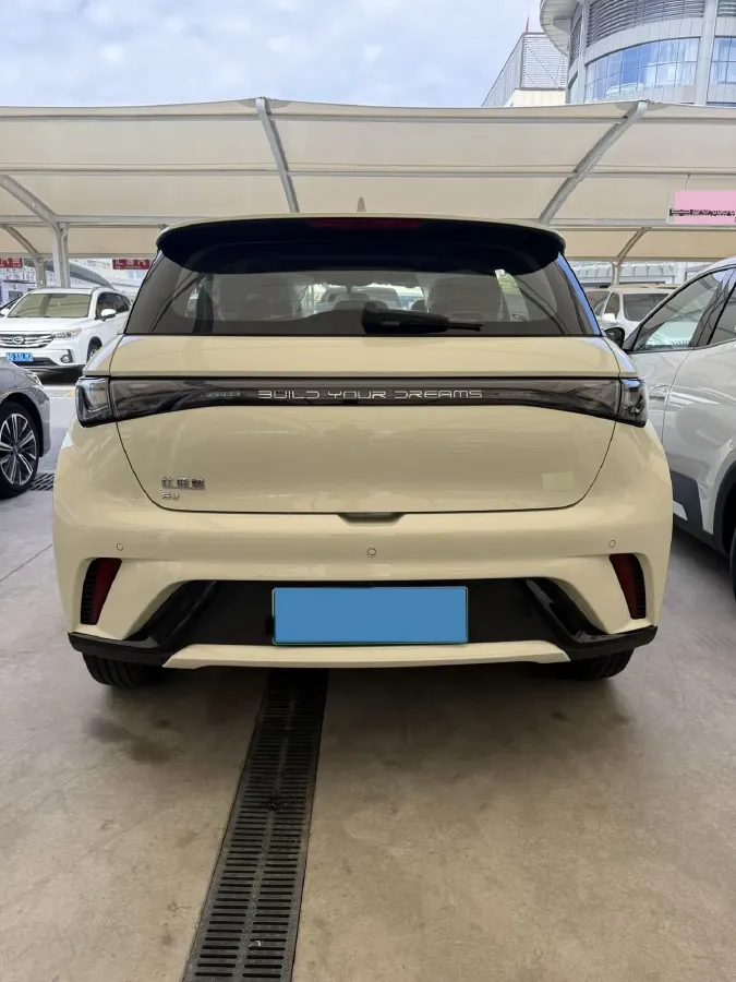 2025 BYD Dolphin BEV 44.928KWH,autocango,china used car exporter,china ev exporter,chinese used car exporter,chinese used ev exporter
