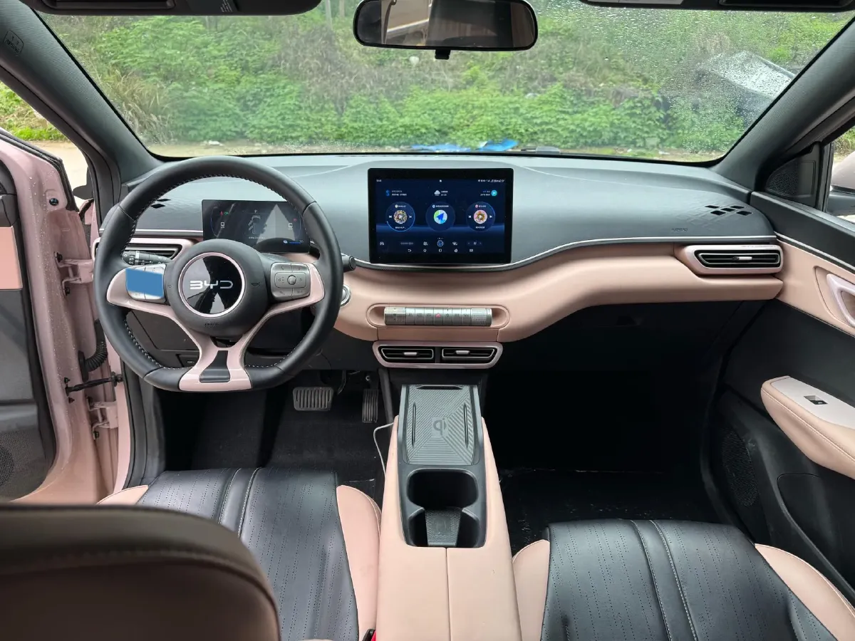 2024 BYD Seagull BEV 30.08KWH,autocango,china used car exporter,china ev exporter,chinese used car exporter,chinese used ev exporter