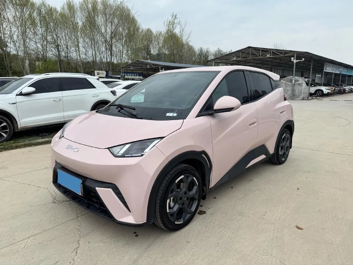 2024 BYD Seagull BEV 30.08KWH,autocango,china used car exporter,china ev exporter,chinese used car exporter,chinese used ev exporter