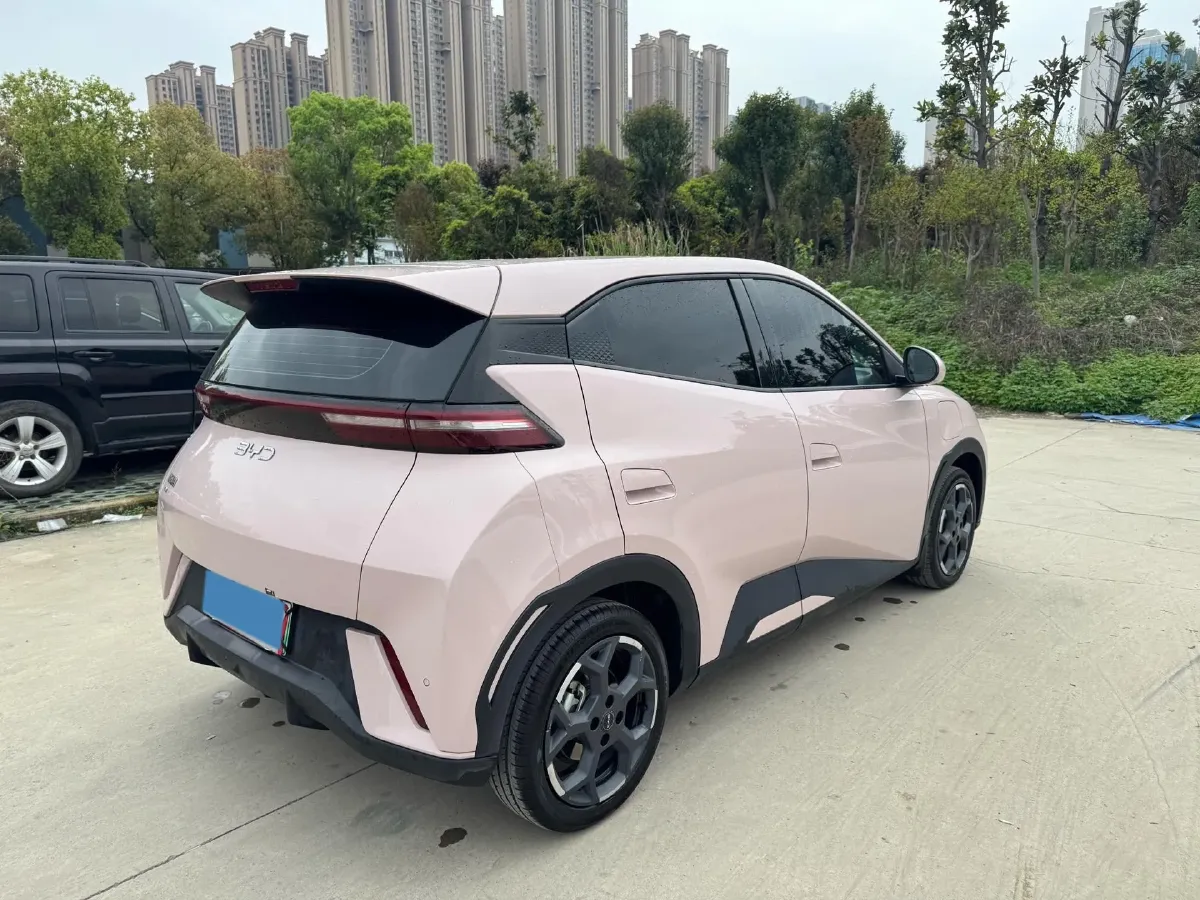 2024 BYD Seagull BEV 30.08KWH,autocango,china used car exporter,china ev exporter,chinese used car exporter,chinese used ev exporter