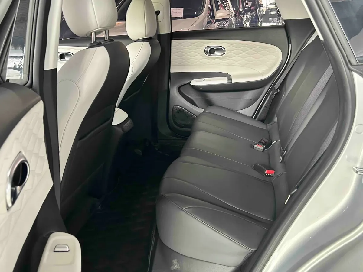 2024 DongFeng Nammi 01 BEV 42.3KWH,autocango,china used car exporter,china ev exporter,chinese used car exporter,chinese used ev exporter