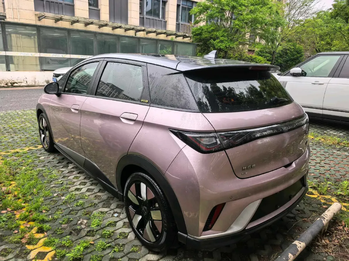 2023 BYD Dolphin BEV 44.928KWH,autocango,china used car exporter,china ev exporter,chinese used car exporter,chinese used ev exporter