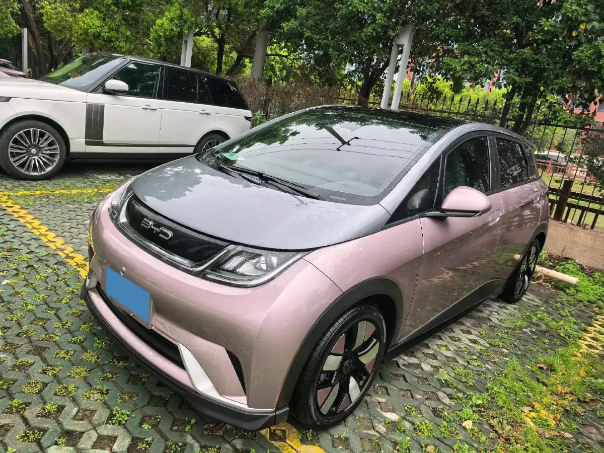 2023 BYD Dolphin BEV 44.928KWH,autocango,china used car exporter,china ev exporter,chinese used car exporter,chinese used ev exporter