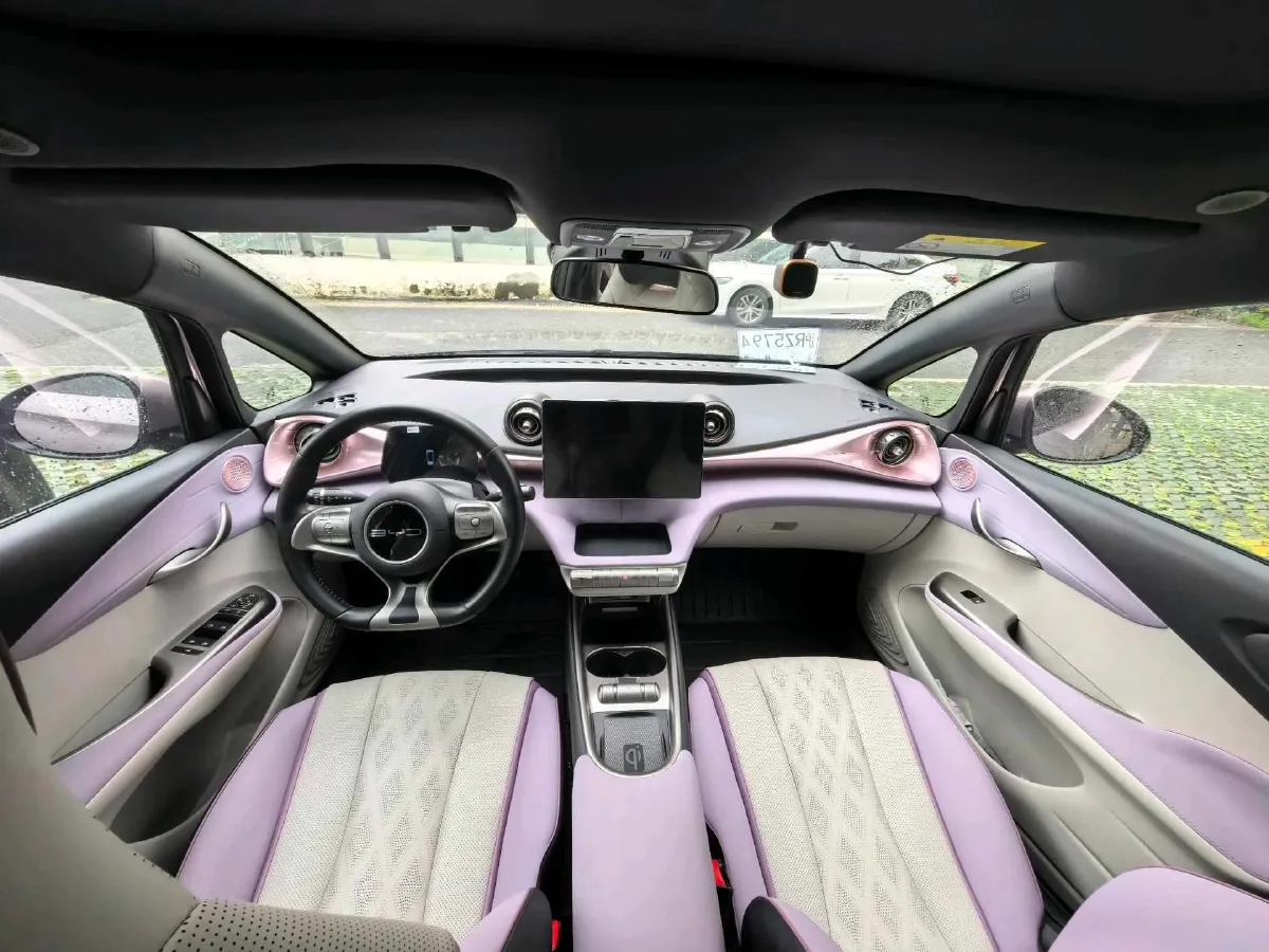 2023 BYD Dolphin BEV 44.928KWH,autocango,china used car exporter,china ev exporter,chinese used car exporter,chinese used ev exporter