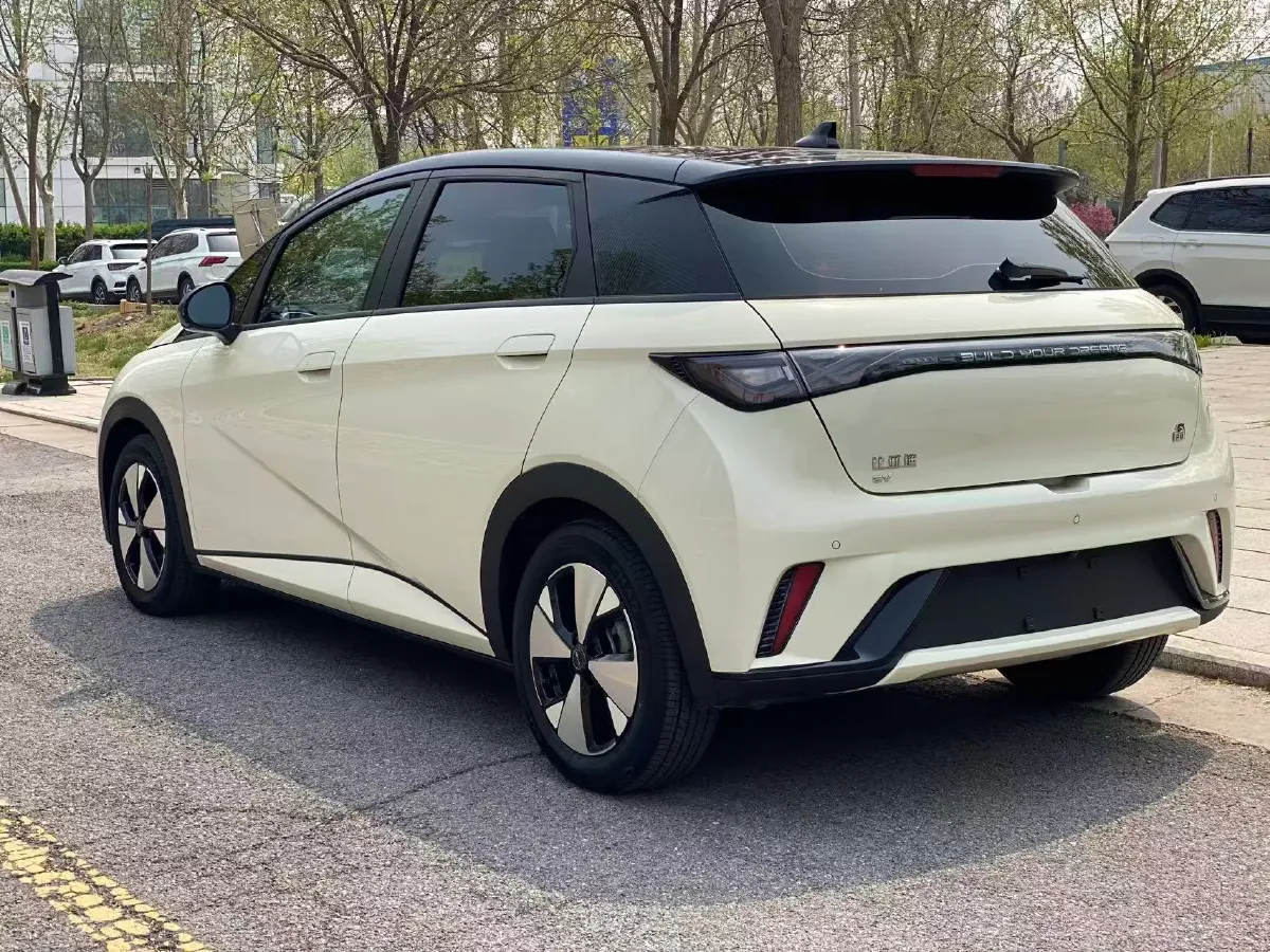 2023 BYD Dolphin BEV 44.928KWH,autocango,china used car exporter,china ev exporter,chinese used car exporter,chinese used ev exporter