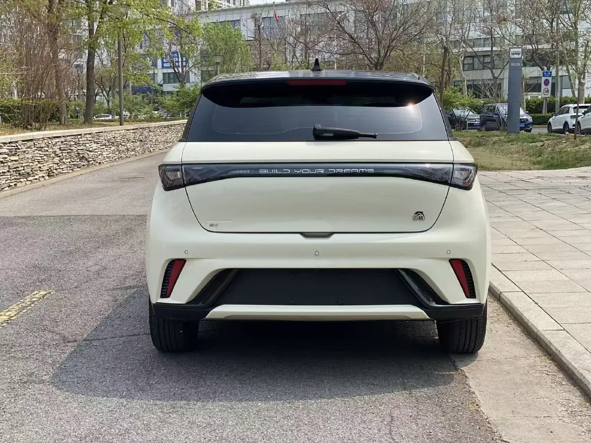 2023 BYD Dolphin BEV 44.928KWH,autocango,china used car exporter,china ev exporter,chinese used car exporter,chinese used ev exporter