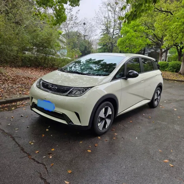 2023 BYD Dolphin BEV 44.928KWH,autocango,china used car exporter,china ev exporter,chinese used car exporter,chinese used ev exporter