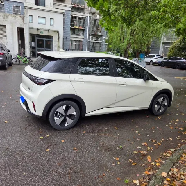 2023 BYD Dolphin BEV 44.928KWH,autocango,china used car exporter,china ev exporter,chinese used car exporter,chinese used ev exporter