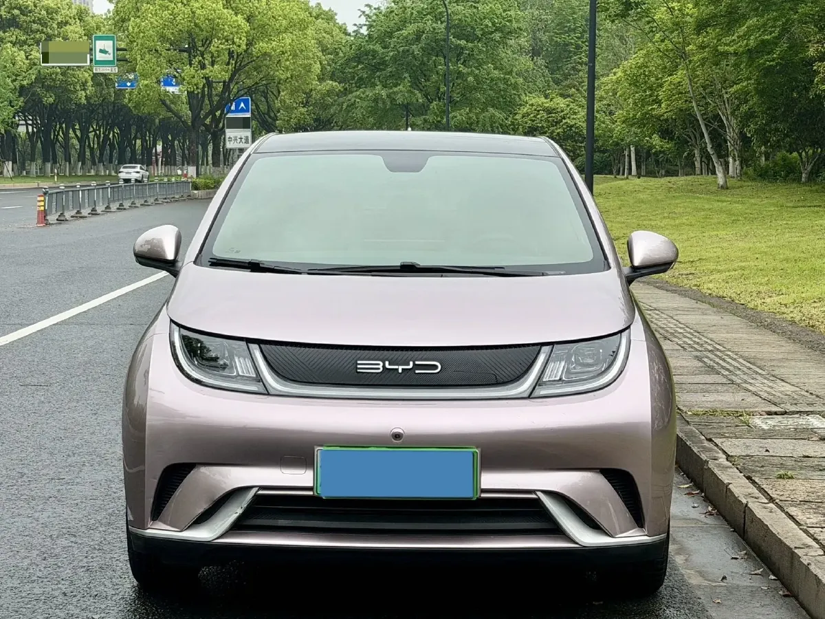 2021 BYD Yuan Pro BEV 50.1KWH,autocango,china used car exporter,china ev exporter,chinese used car exporter,chinese used ev exporter