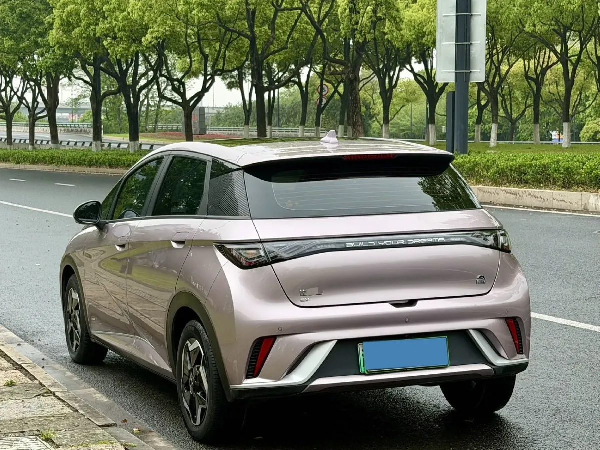 2021 BYD Yuan Pro BEV 50.1KWH,autocango,china used car exporter,china ev exporter,chinese used car exporter,chinese used ev exporter
