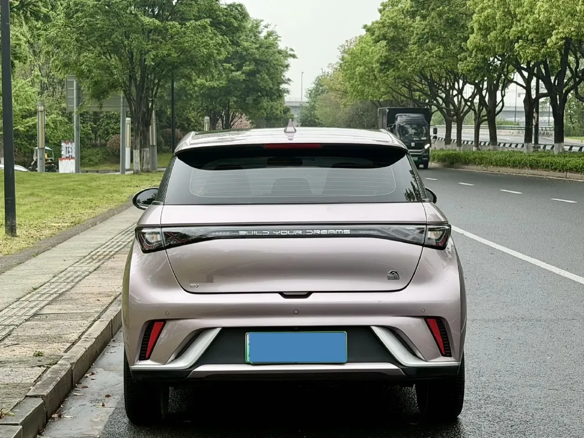 2021 BYD Yuan Pro BEV 50.1KWH,autocango,china used car exporter,china ev exporter,chinese used car exporter,chinese used ev exporter