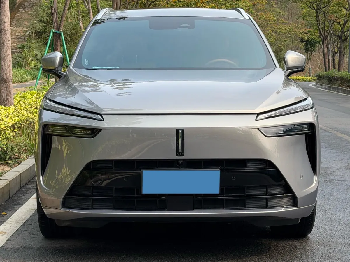 2023 WEY BlueMountain 1.5T 154HP L4 2DHT PHEV 44.5KWH,autocango,china used car exporter,china ev exporter,chinese used car exporter,chinese used ev exporter