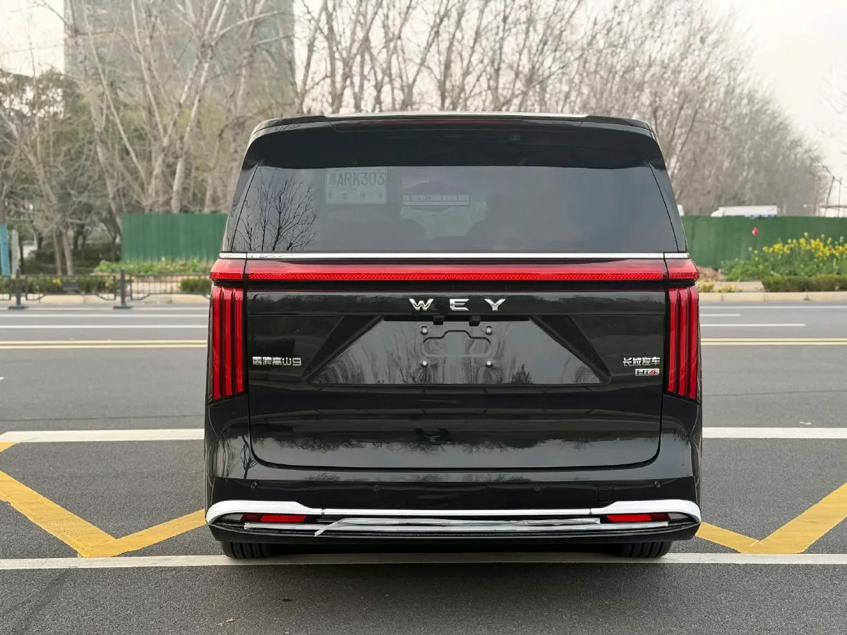 2025 WEY HighMountain 1.5T 170HP L4 4DHT PHEV,autocango,china used car exporter,china ev exporter,chinese used car exporter,chinese used ev exporter