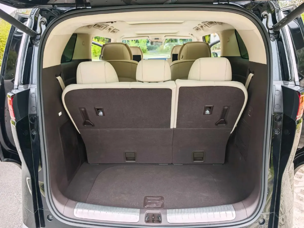 2024 Denza D9 1.5T 139HP L4 E-CVT PHEV 40KWH,autocango,china used car exporter,china ev exporter,chinese used car exporter,chinese used ev exporter