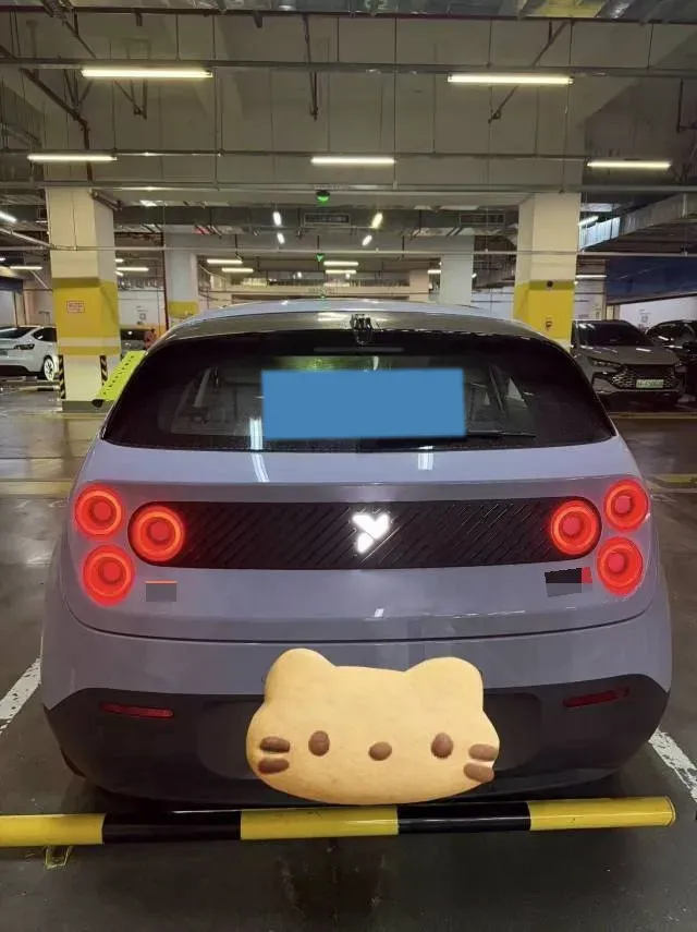 2025 Firefly Firefly BEV,autocango,china used car exporter,china ev exporter,chinese used car exporter,chinese used ev exporter