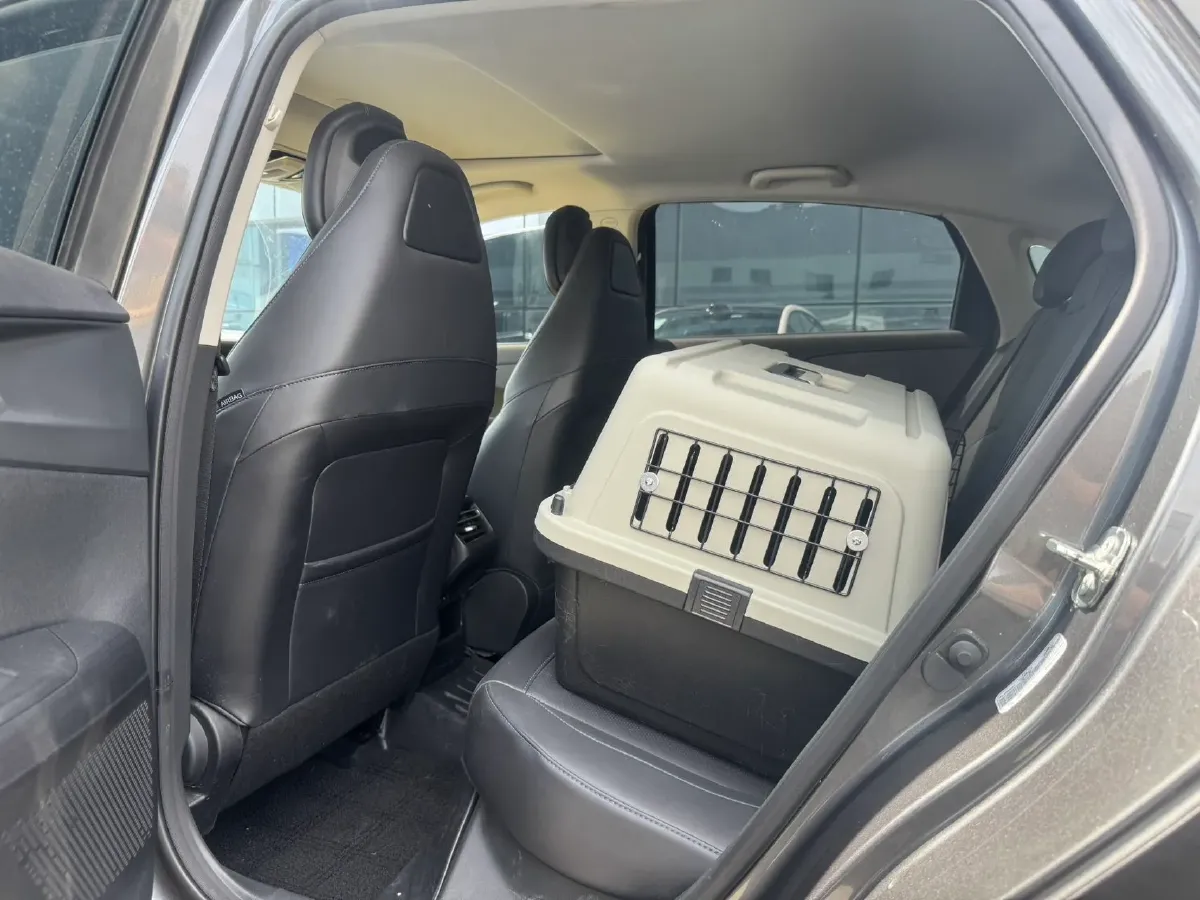 2023 ChangAn Lamore 1.5T 170HP L4 7DCT,autocango,china used car exporter,china ev exporter,chinese used car exporter,chinese used ev exporter