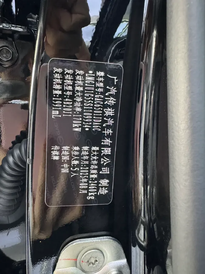 2025 GAC Trumpchi GS8 2.0T 252HP L4 8AT,autocango,china used car exporter,china ev exporter,chinese used car exporter,chinese used ev exporter